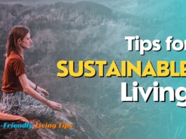 Tips for Sustainable Living