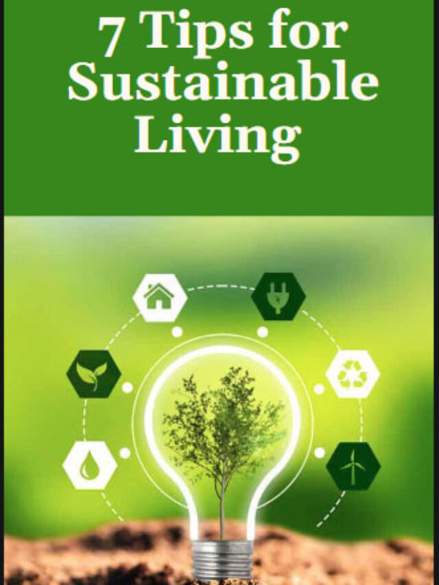 7 Tips for Sustainable Living